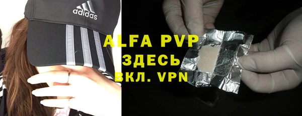 прущие грибы Новозыбков