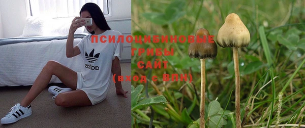 mdma Нязепетровск