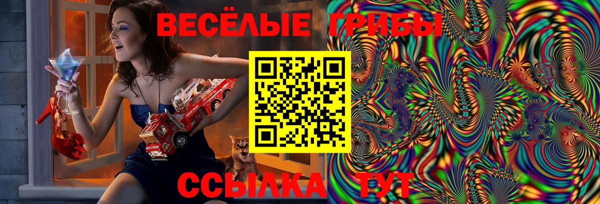 Ивантеевка  Галлюциногенные грибы прущие грибы  Псилоцибиновые грибы Magic Shrooms  Вход с VPN 