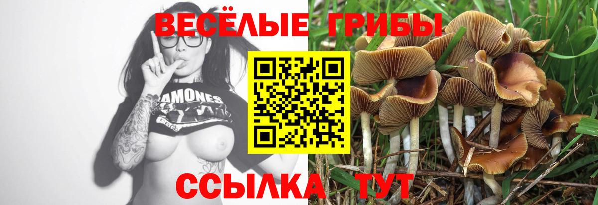 Галлюциногенные грибы Psilocybine cubensis Ивантеевка