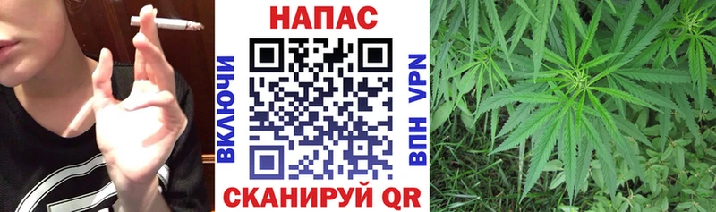 Шишки марихуана планчик  где можно купить наркотик  Ивантеевка 